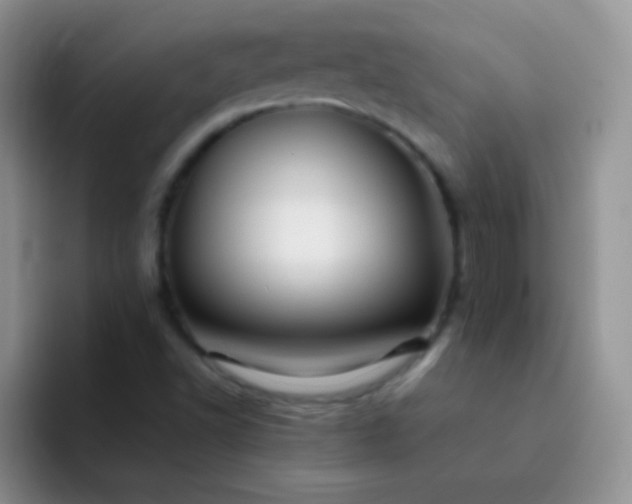 X0000092061502200709262018