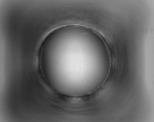 X0000092061503200709262018