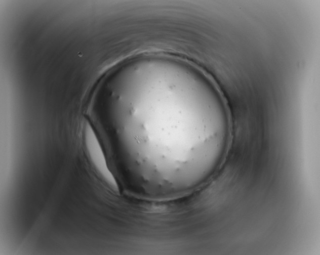 X0000092061505200709262018