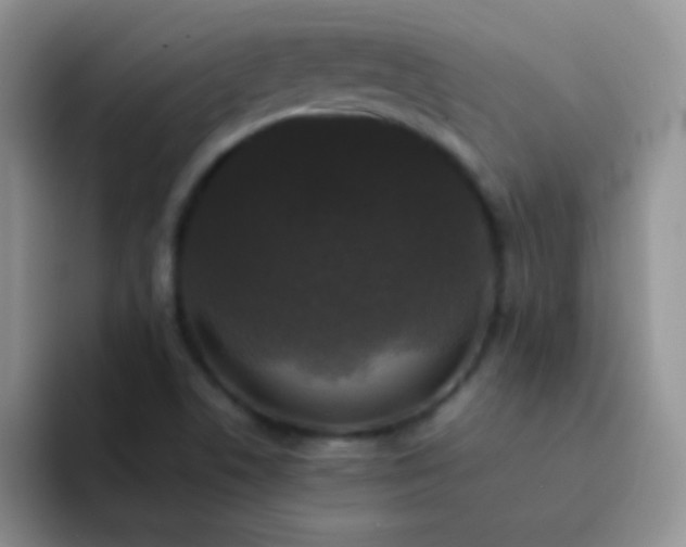 X0000092061506200709262018