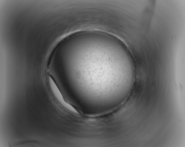 X0000092061507200709262018