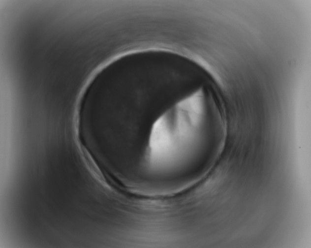 X0000092061508200709262018