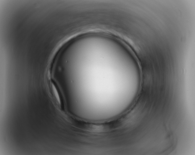 X0000092061509200709262018