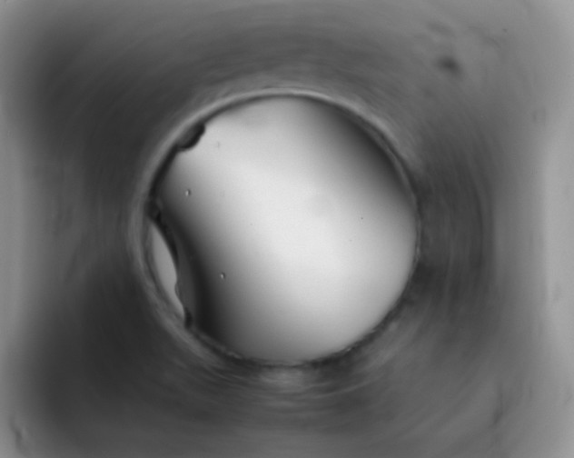 X0000092061511200709262018