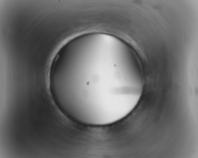 X0000092061512200709262018