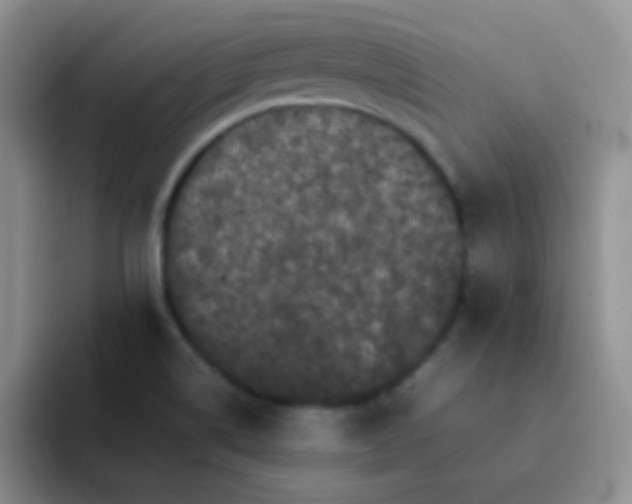 X0000092061514200709262018