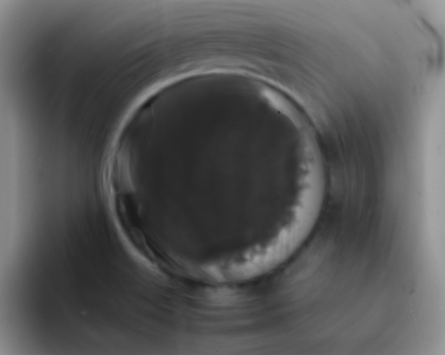 X0000092061515200709262018