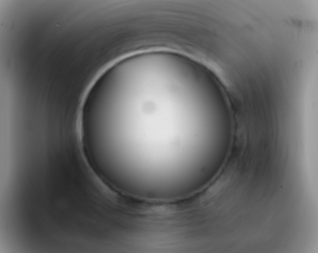 X0000092061516200709262018