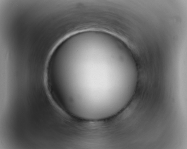 X0000092061518200709262018