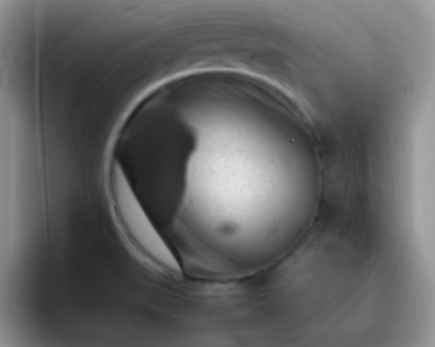 X0000092061519200709262018