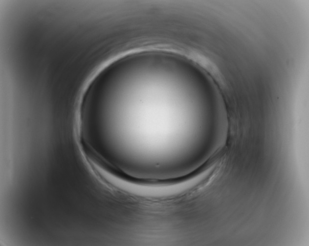 X0000092061520200709262018