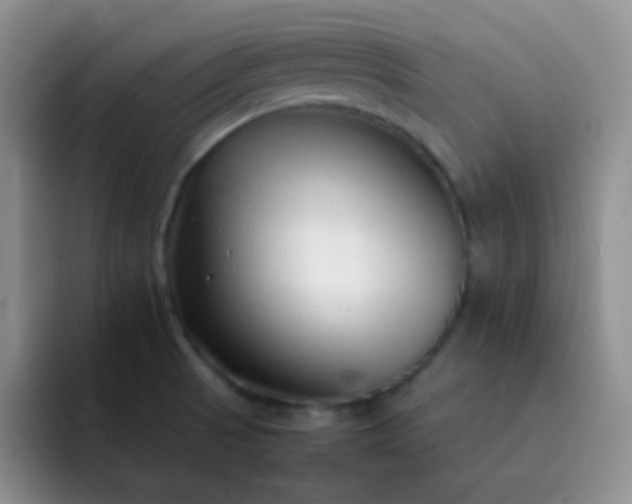 X0000092061521200709262018