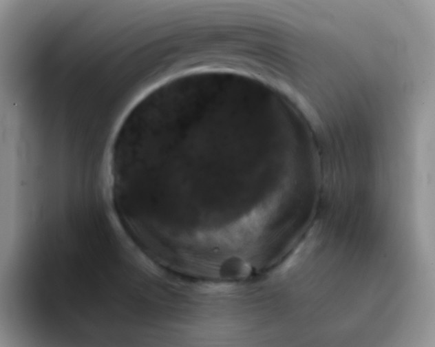 X0000092061522200709262018