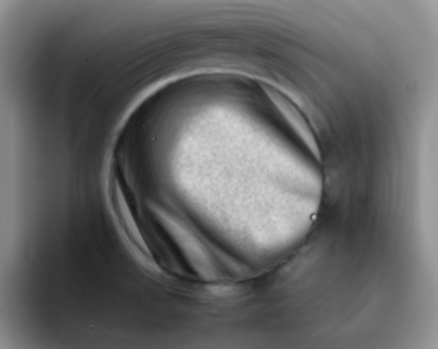 X0000092061523200709262018