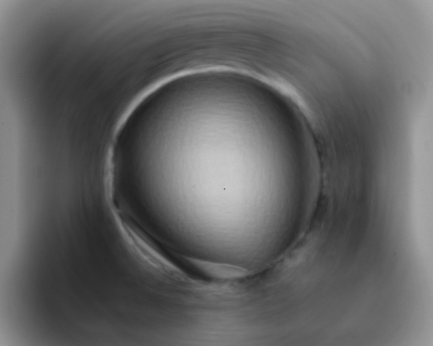 X0000092061524200709262018