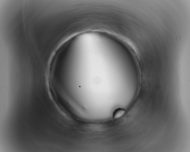 X0000092061525200709262018