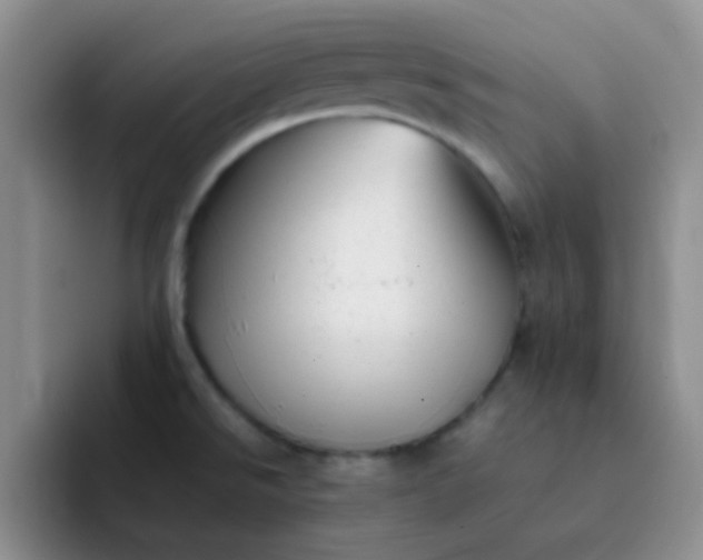 X0000092061526200709262018