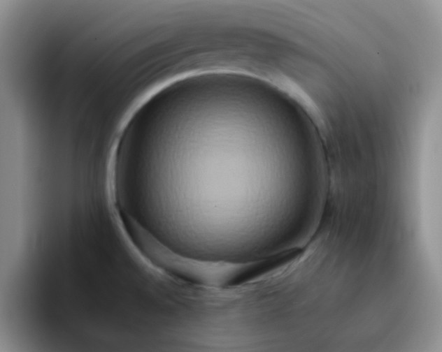 X0000092061528200709262018