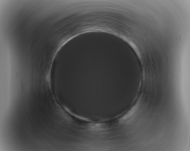 X0000092061529200709262018