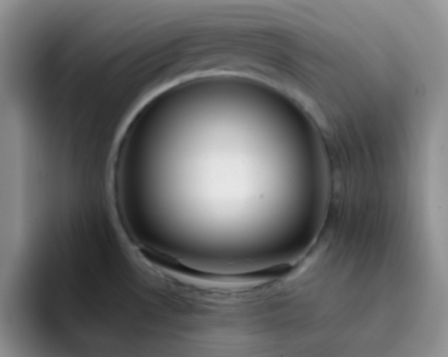 X0000092061530200709262018