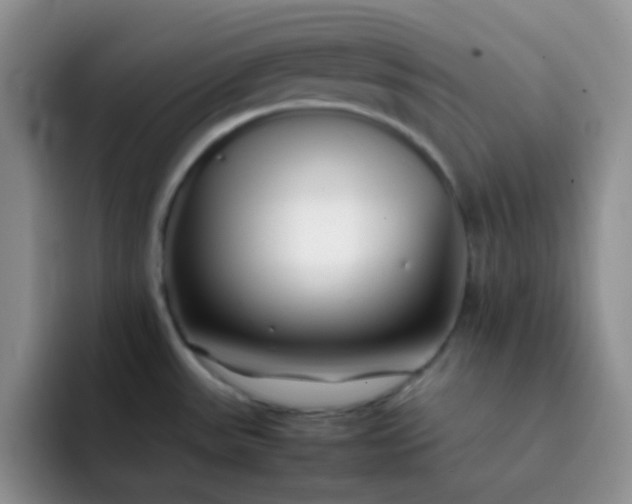 X0000092061531200709262018