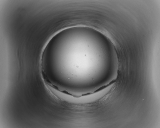 X0000092061532200709262018