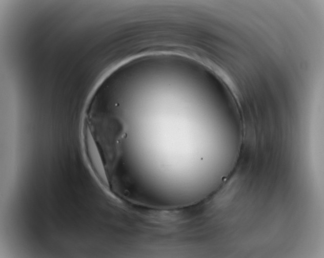 X0000092061533200709262018