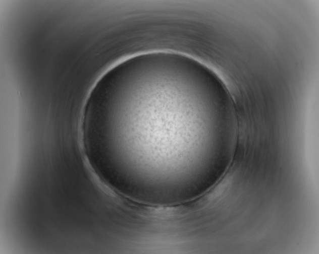 X0000092061534200709262018