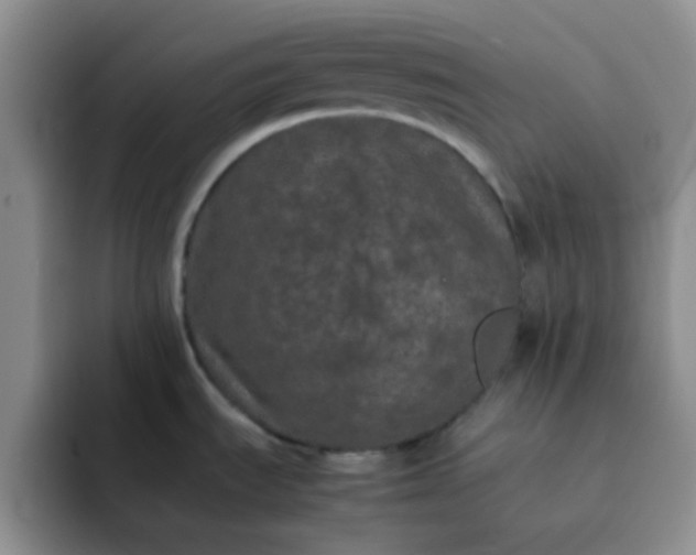 X0000092061535200709262018