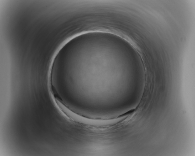 X0000092061536200709262018