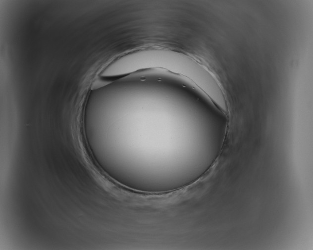 X0000092060001200710031109