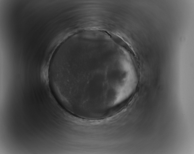 X0000092060002200710031109