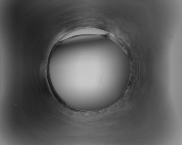 X0000092060003200710031109