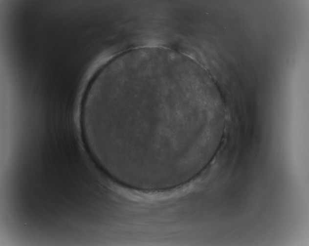 X0000092060006200710031109