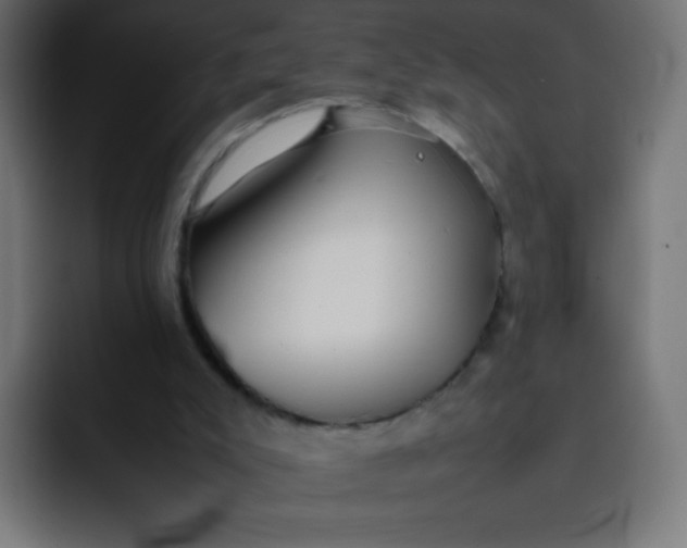 X0000092060007200710031109