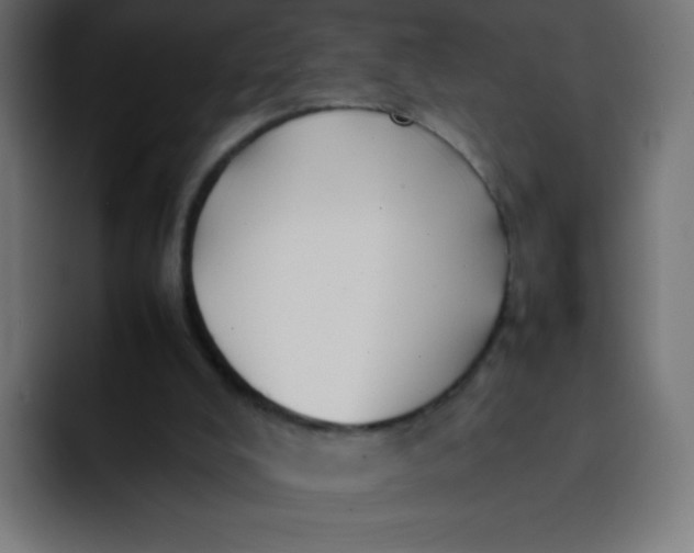 X0000092060008200710031109