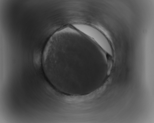 X0000092060009200710031109