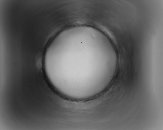 X0000092060010200710031109