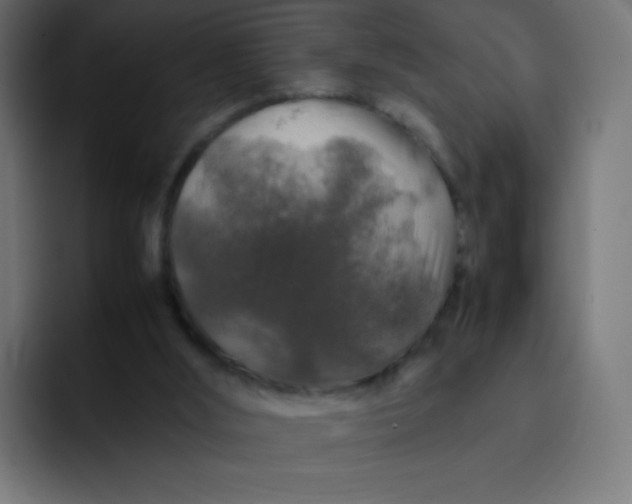 X0000092060012200710031109