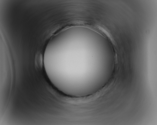 X0000092060013200710031109