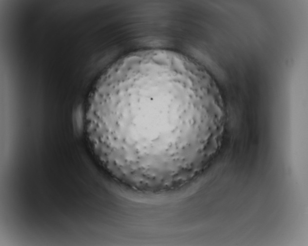 X0000092060014200710031109