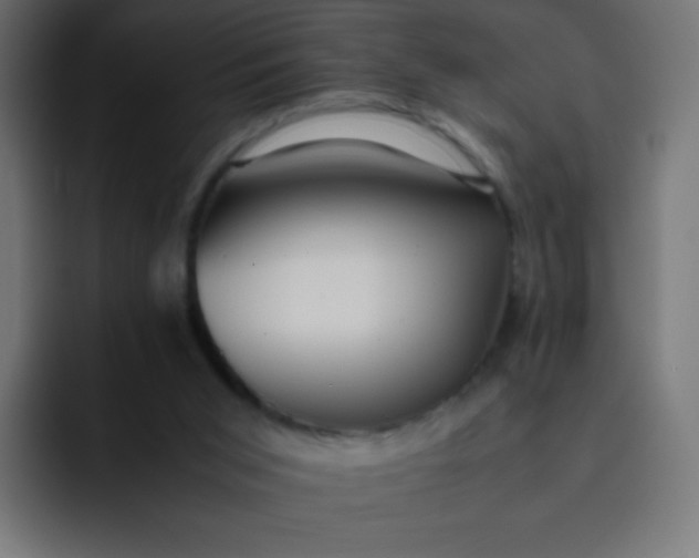 X0000092060015200710031109