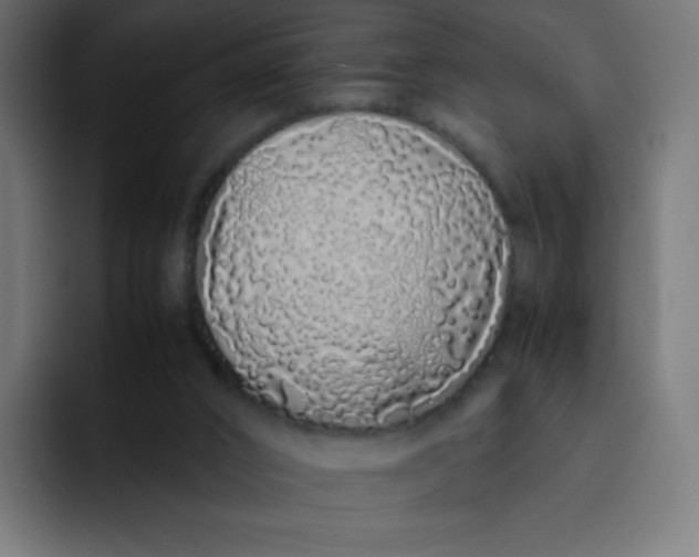 X0000092060016200710031109