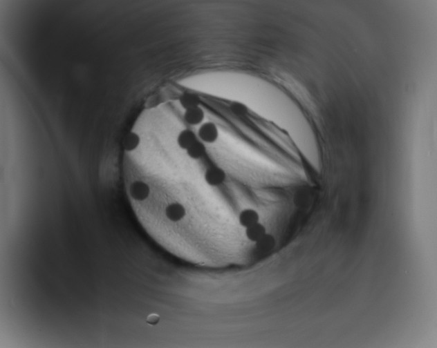 X0000092060017200710031109