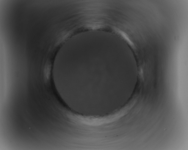 X0000092060018200710031109