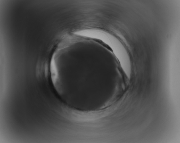 X0000092060019200710031109