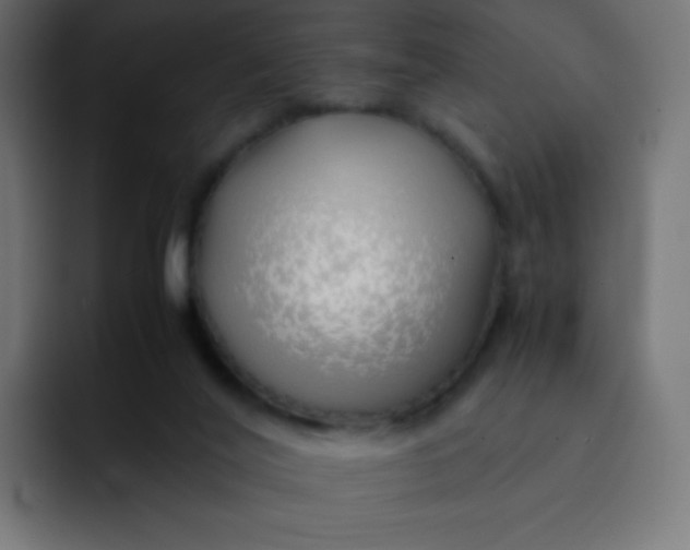 X0000092060020200710031108