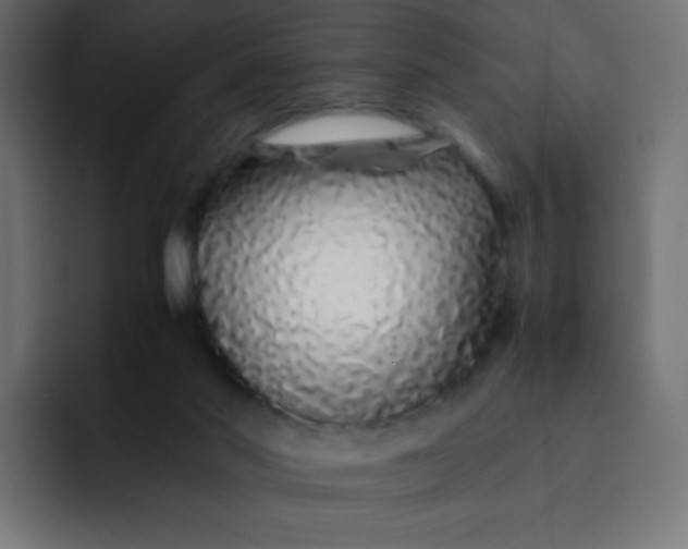 X0000092060022200710031108