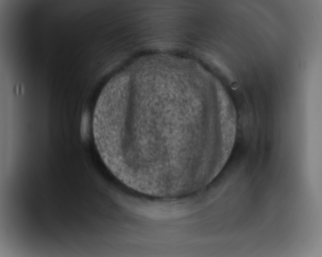 X0000092060024200710031108