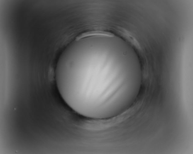 X0000092060025200710031108